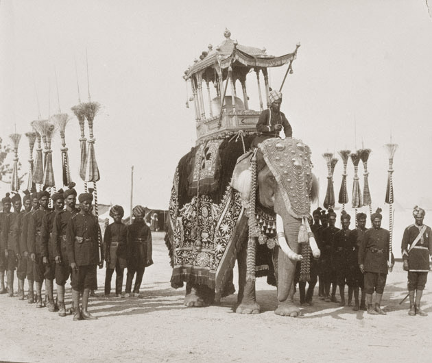 Elephants parade at Delhi Durbar